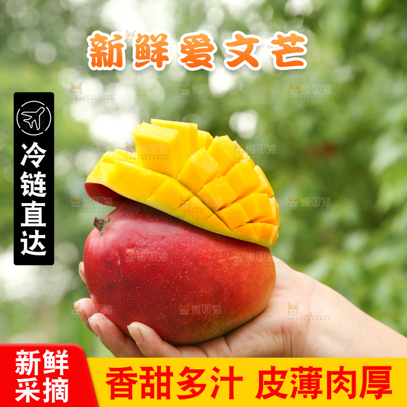 手里拿着爱文芒