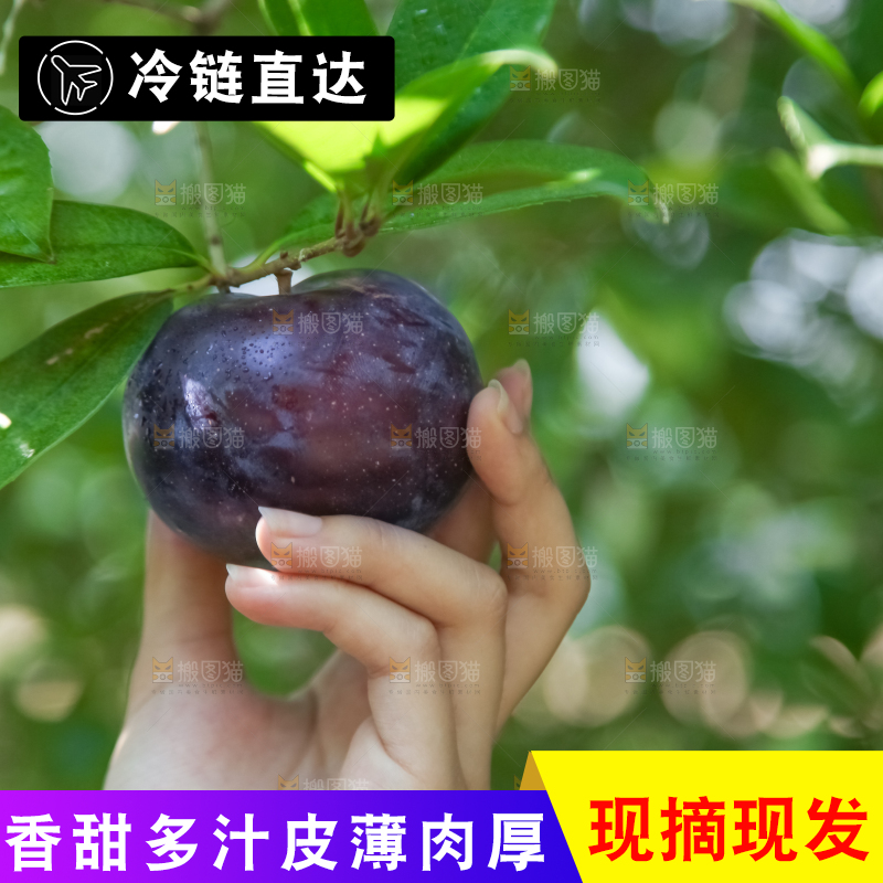 手里拿着黑布林