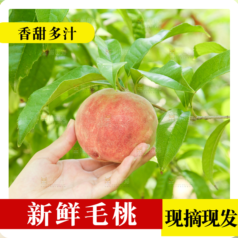 手里拿着蜜桃