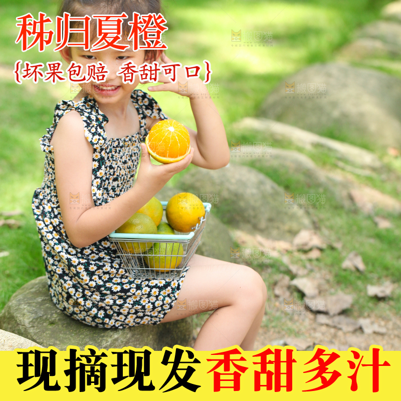 小女孩小手里拿着夏橙