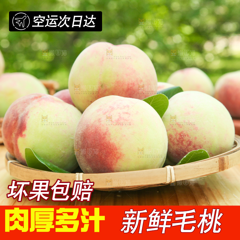 篮子里装着毛桃