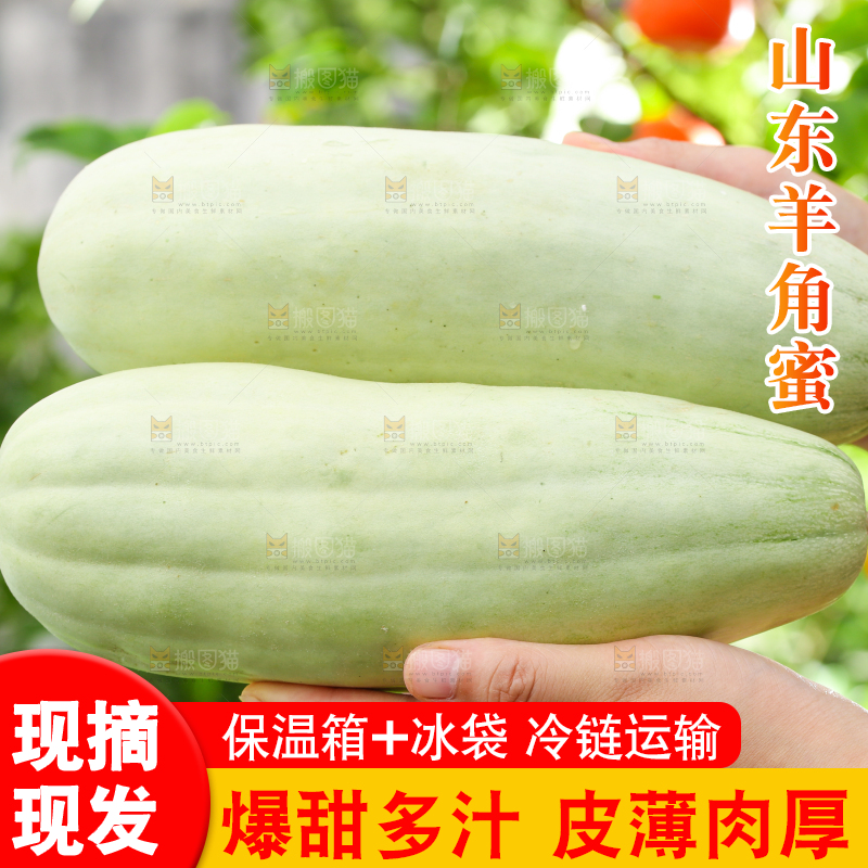 手里拿着羊角蜜