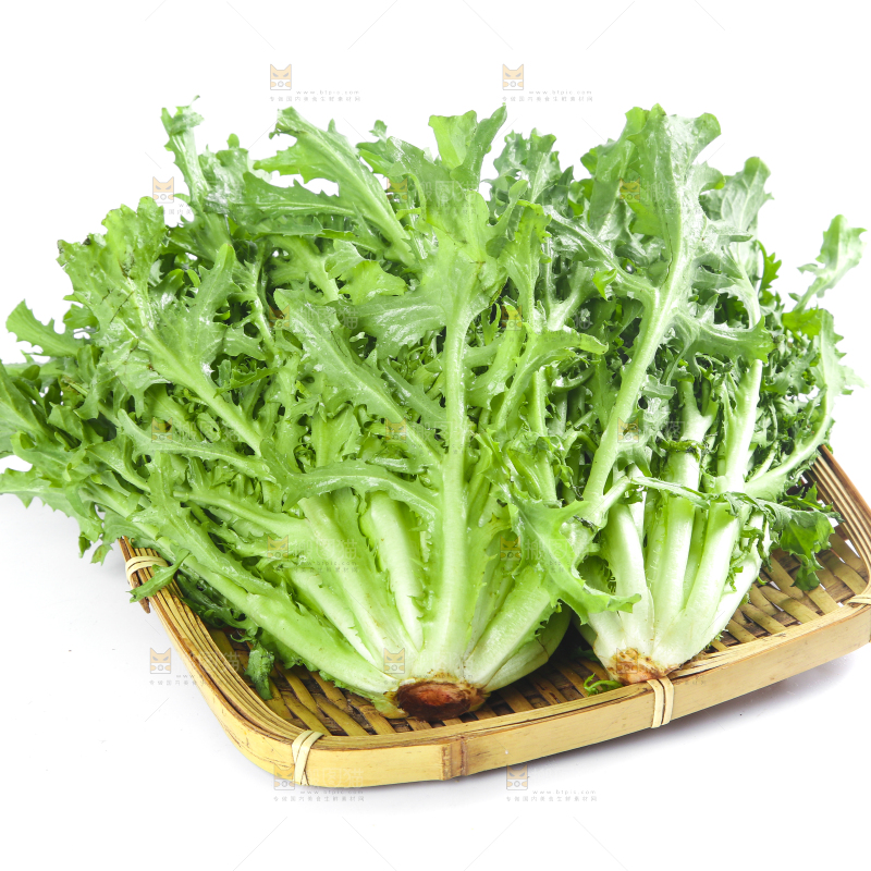 篮子里装着苦菊