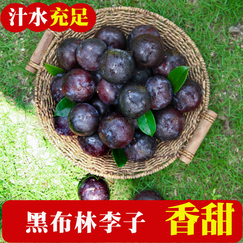 草地上放着一篮黑布林李子