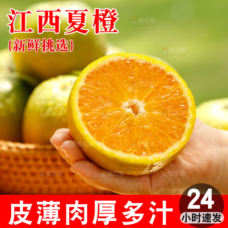 木底上摆放着湖北秭归夏橙