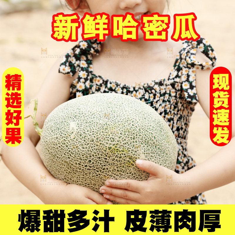 小女孩手里抱着网纹瓜
