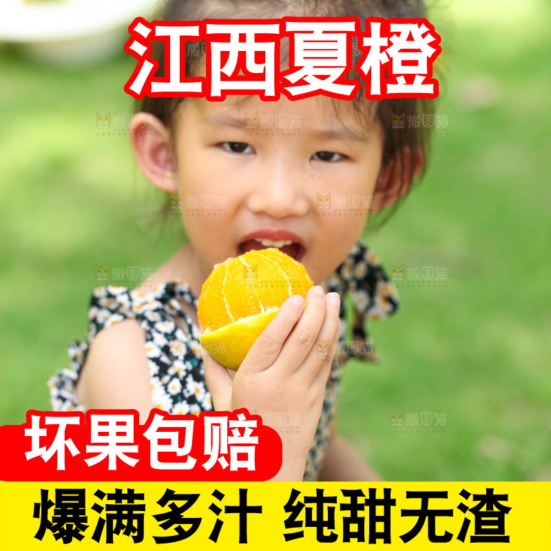 小女孩正在吃夏橙