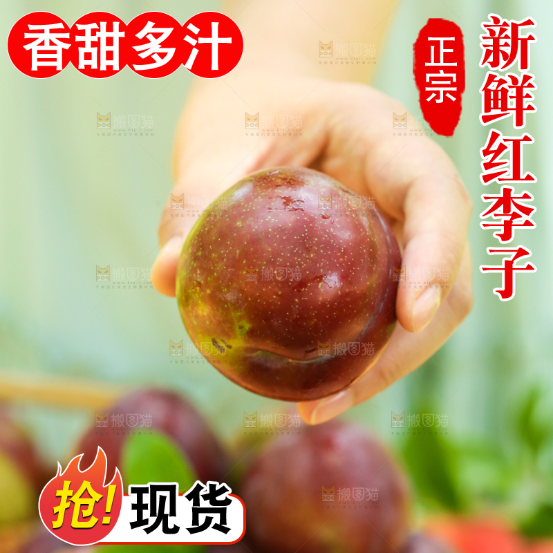 手里拿着芙蓉李