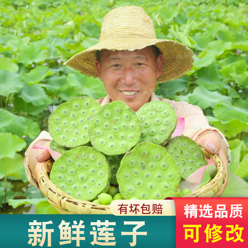 手里端着一篮新鲜莲蓬