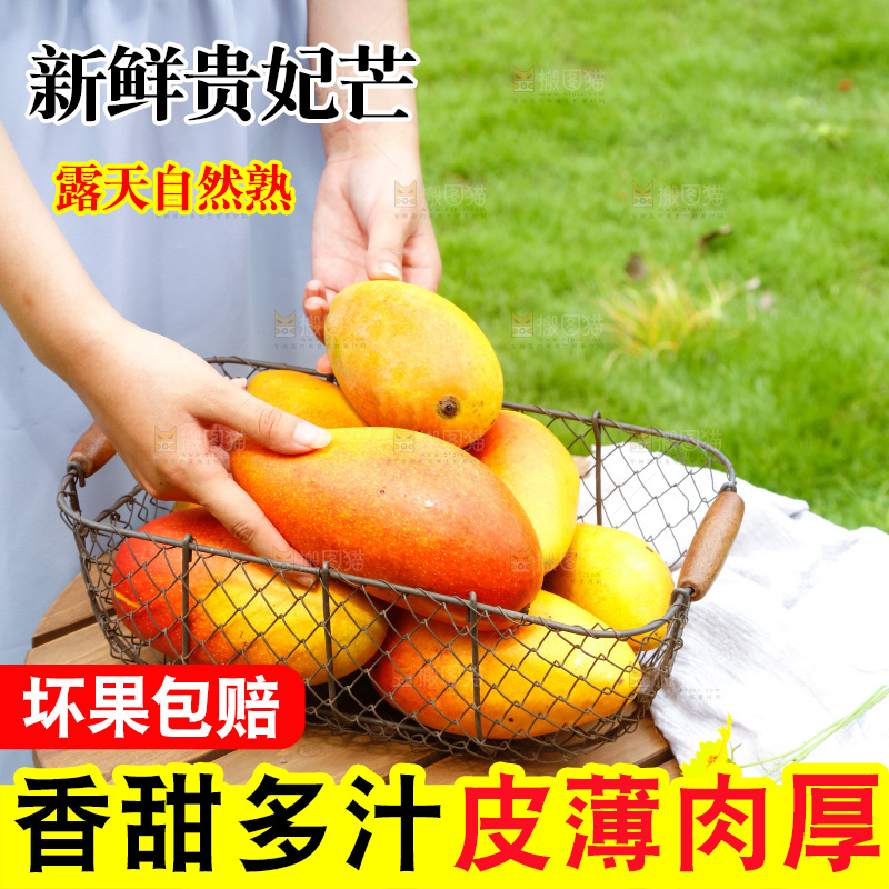 篮子里装着彩芒