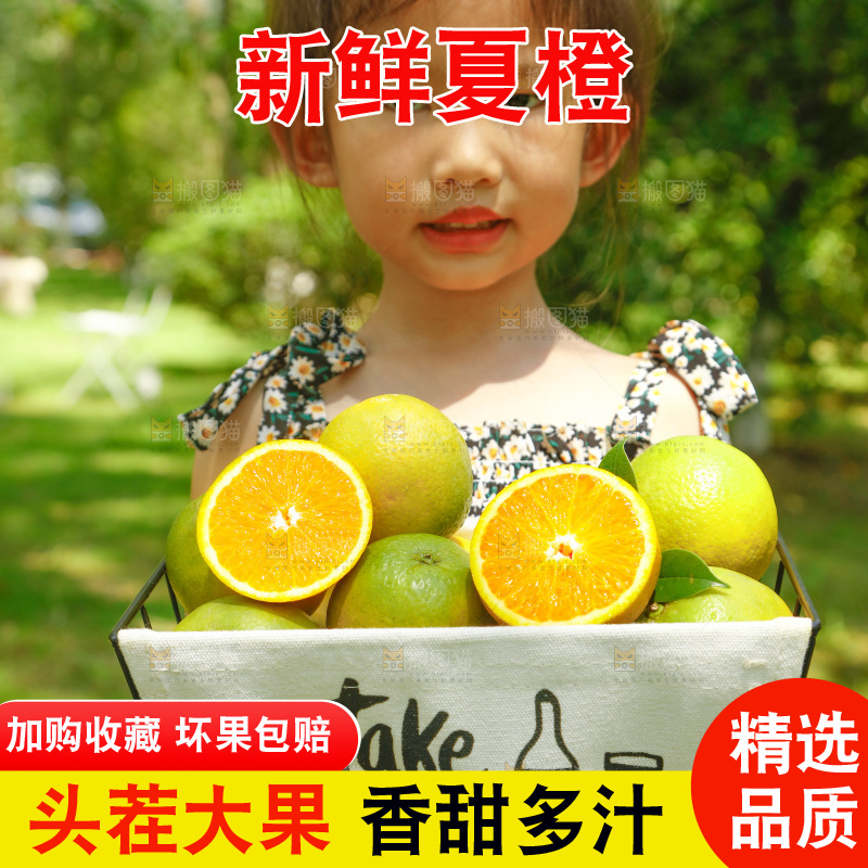 手里端着一篮夏橙