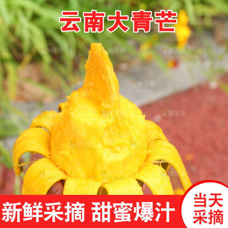 手里拿着剥皮的大青芒