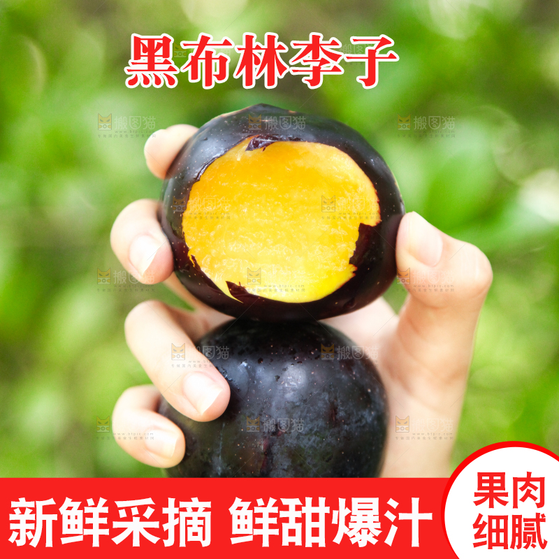 手里拿着黑布林