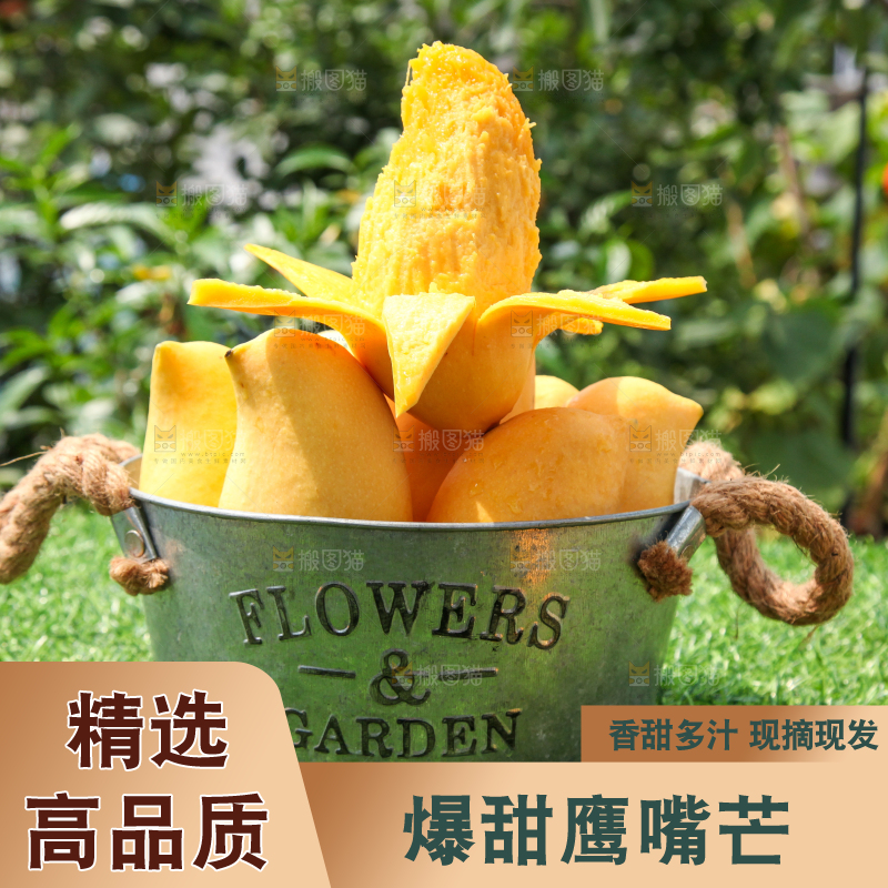 绿草地上放着一小桶鹰嘴芒