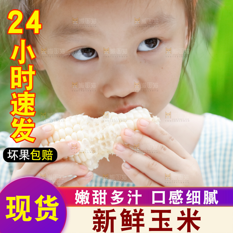 小女孩正在吃牛奶水果玉米