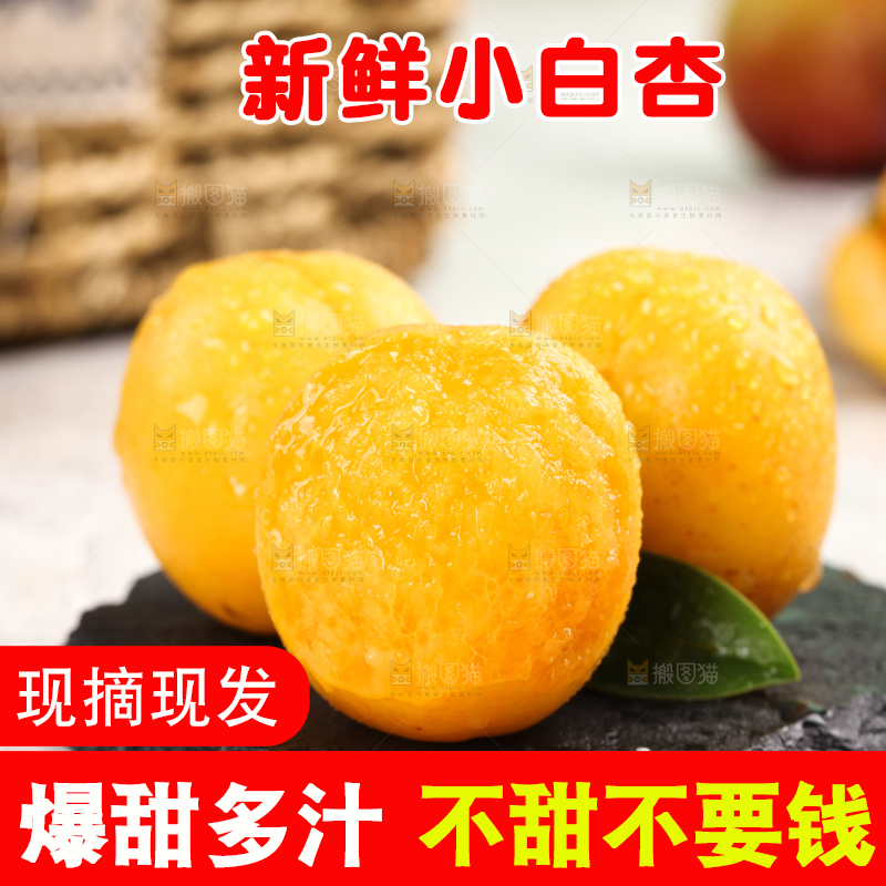 黑石板上放着小白杏