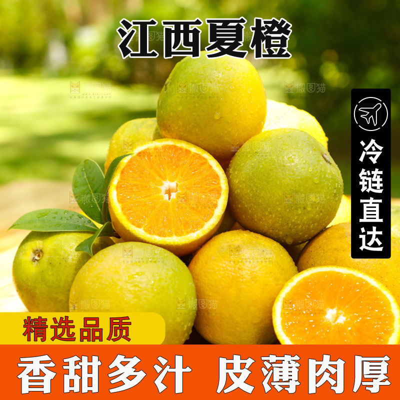 木底上摆放着湖北秭归夏橙