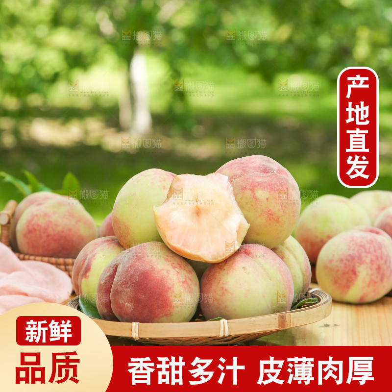 篮子里装着毛桃