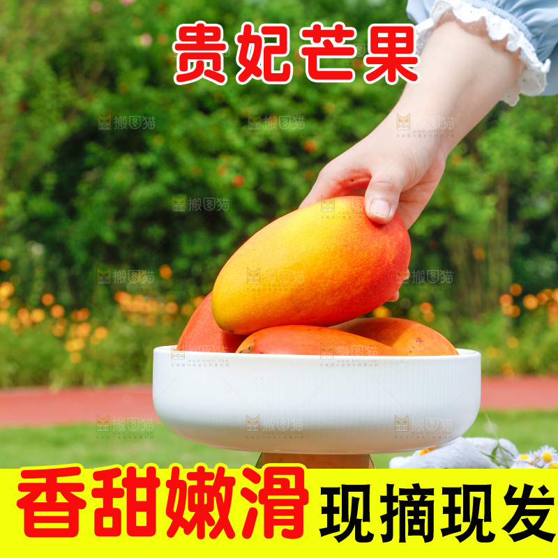 手里拿着新鲜贵妃芒