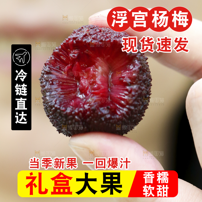 手里拿着野生杨梅