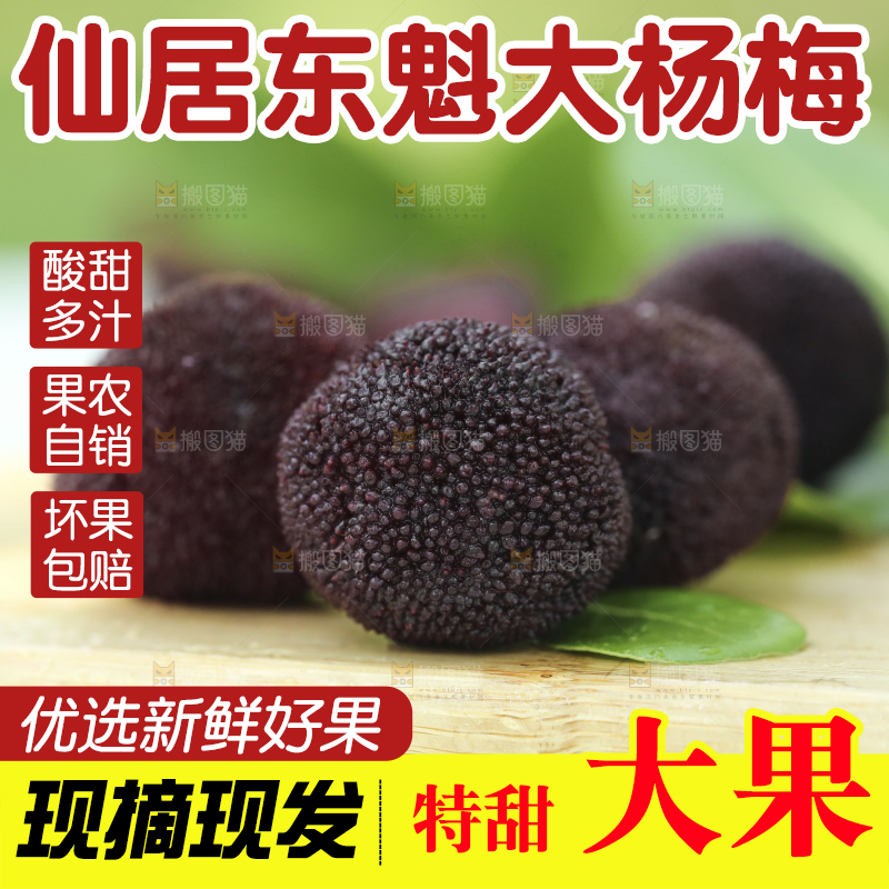 木底上摆放着圣生梅