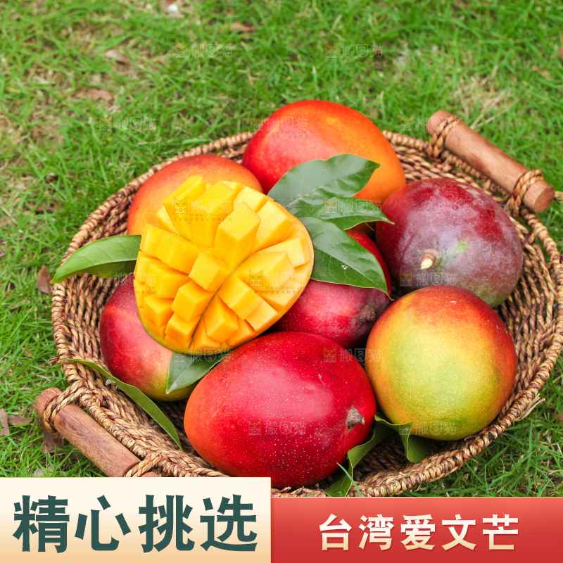 篮子里装着爱文芒