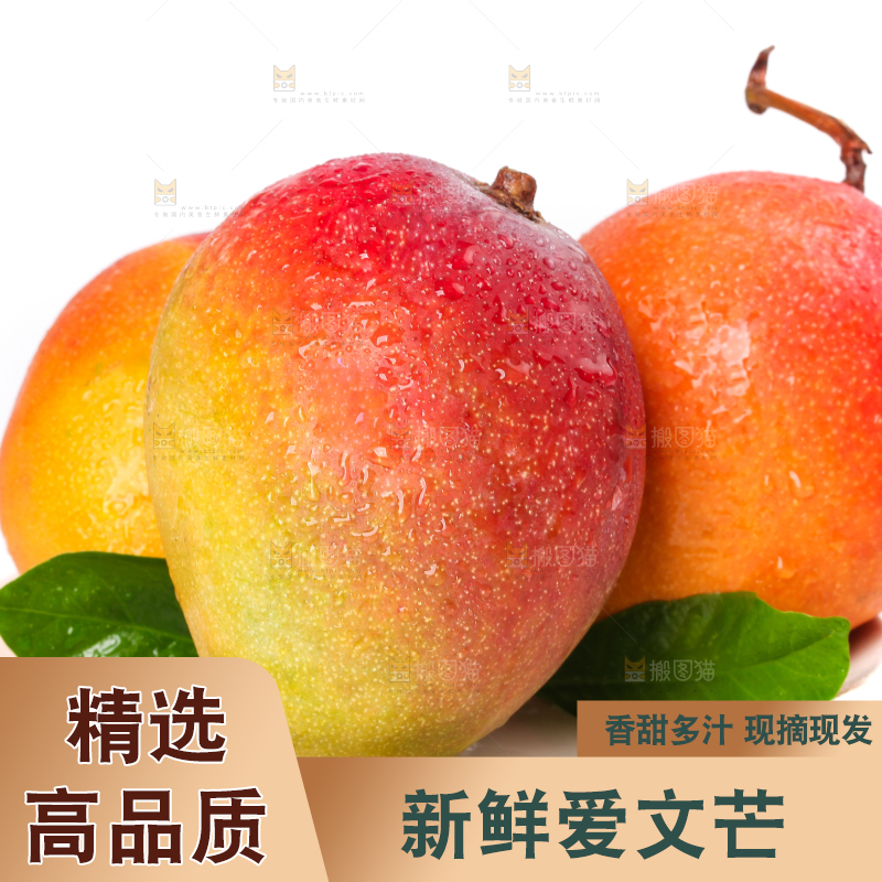 盘子里装着爱文芒