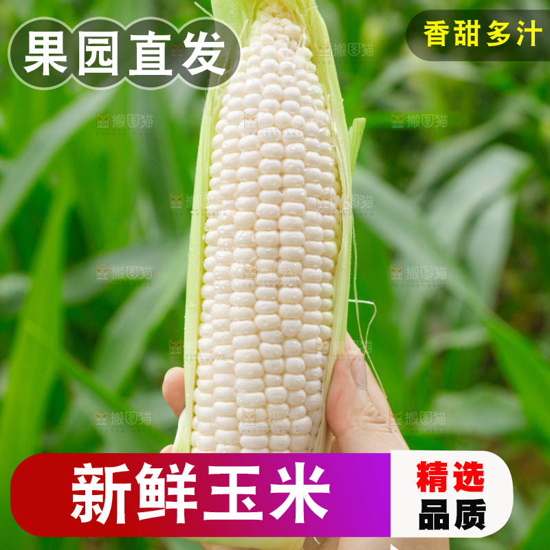 手里拿着牛奶水果玉米