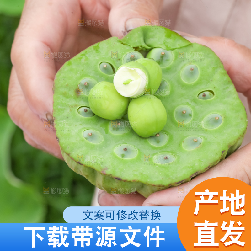 手里拿着莲子