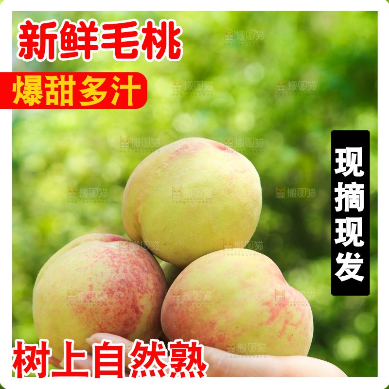 手里拿着毛桃