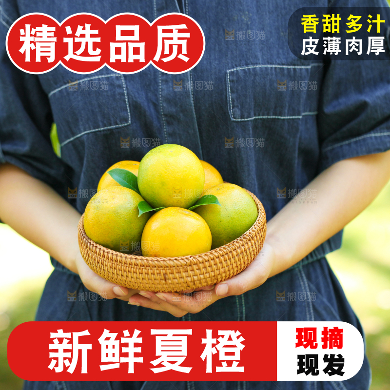 手里拿着一篮新鲜夏橙