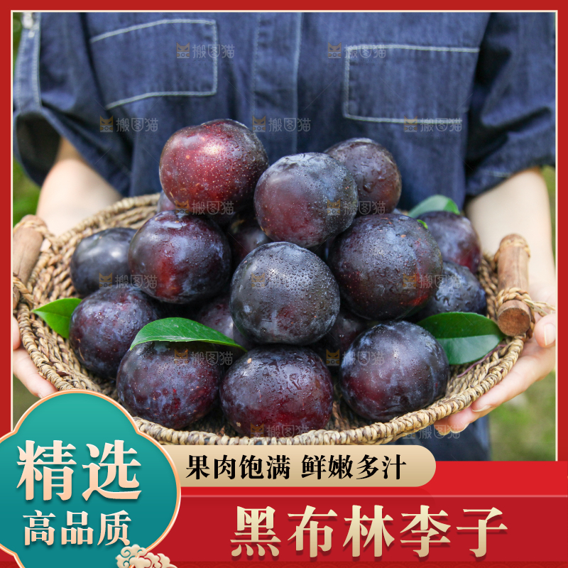 手里端着一篮新鲜黑布李