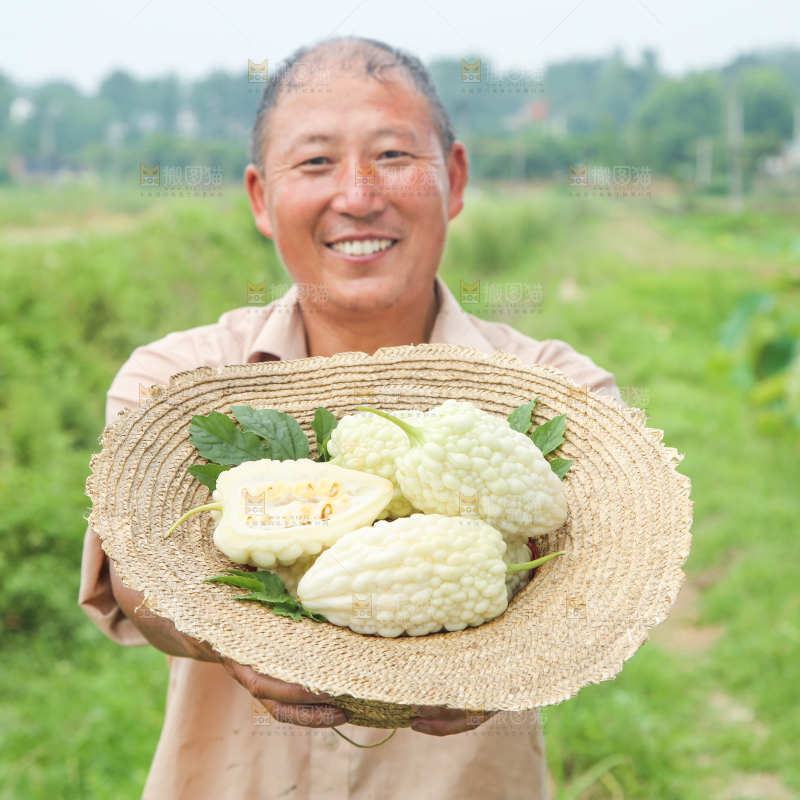 帽子里装着苹果苦瓜