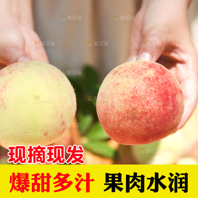 手里拿着蜜桃