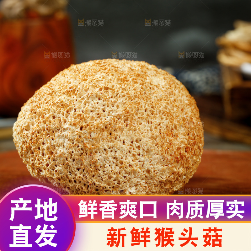 木板上摆放着猴头菇