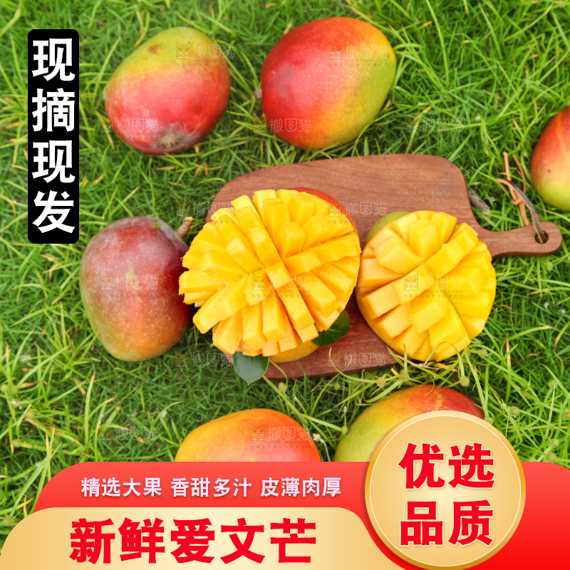绿草地上摆放着苹果芒
