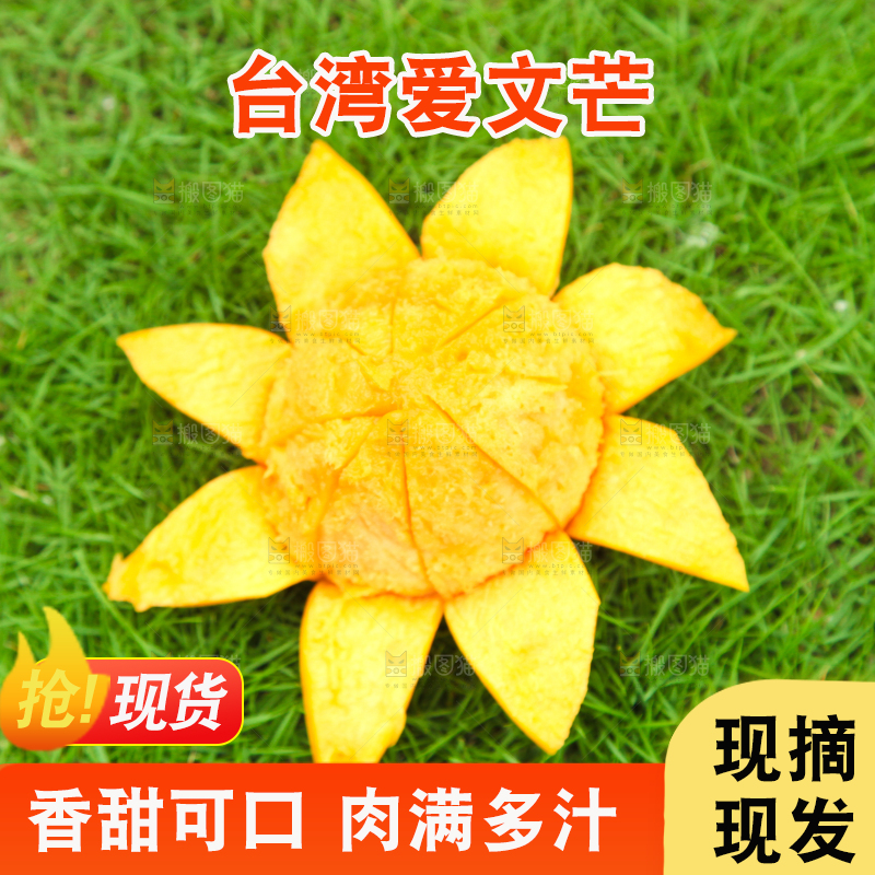 绿草地上放着一颗苹果芒