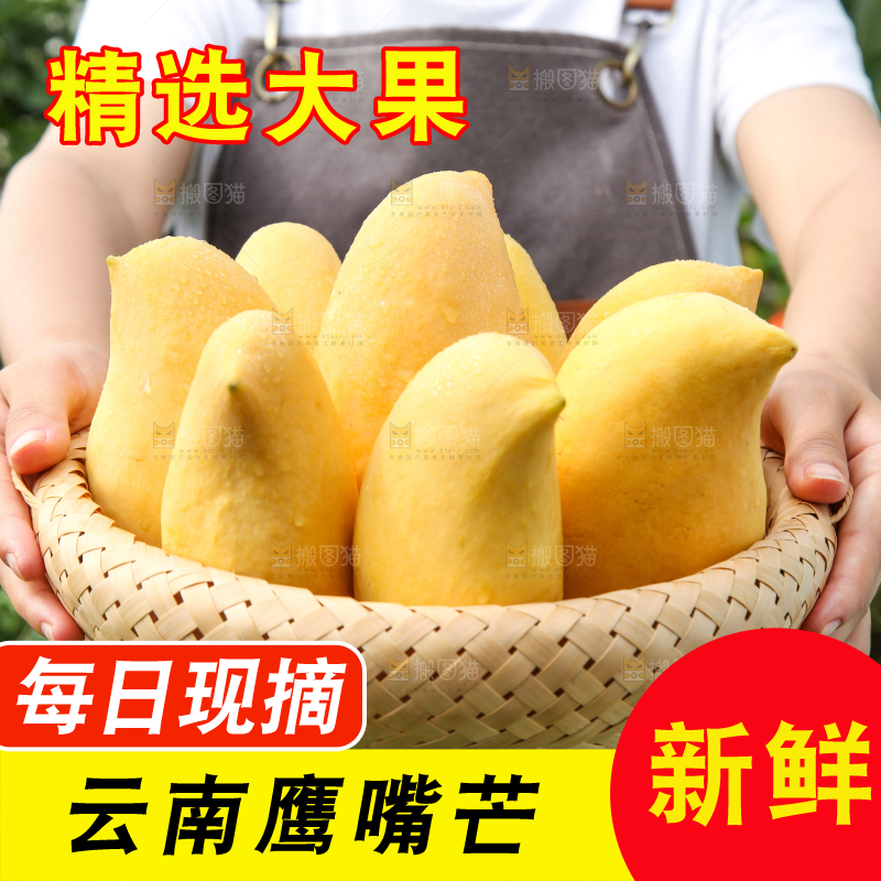 手里端着一篮芒果