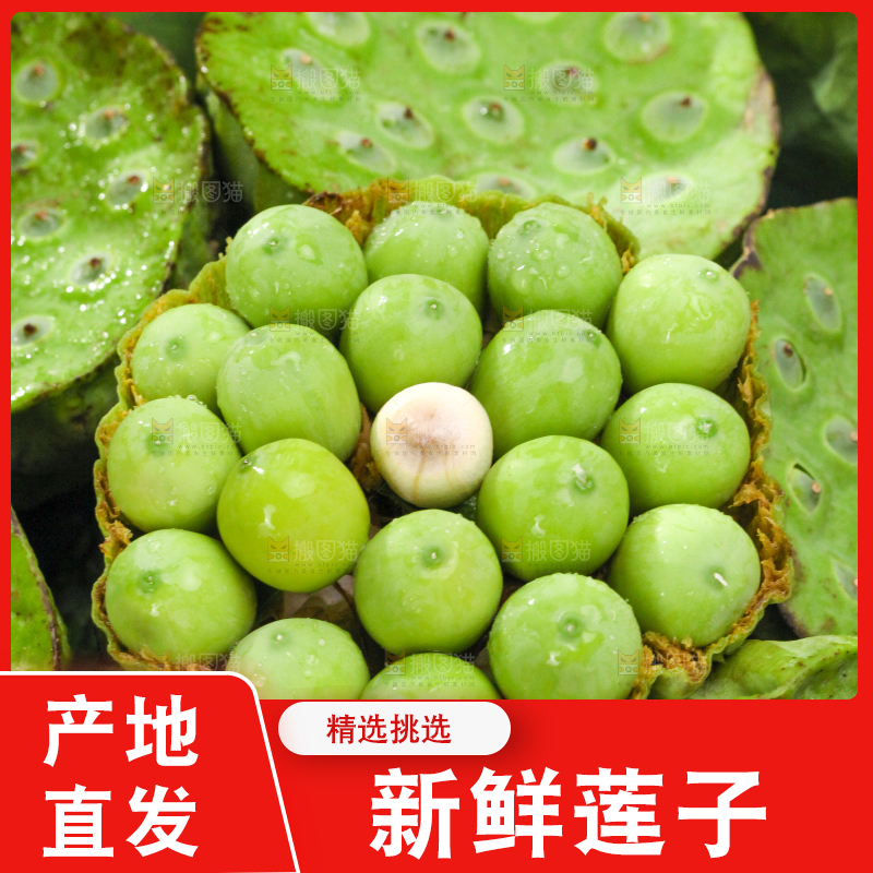 摆放着一堆的莲蓬子
