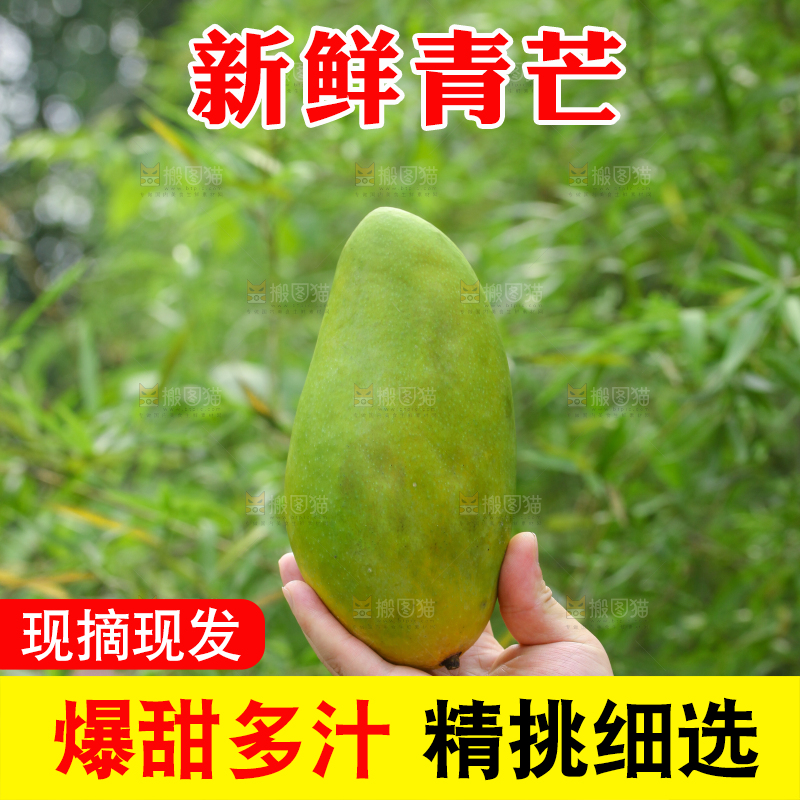 手里拿着大青芒