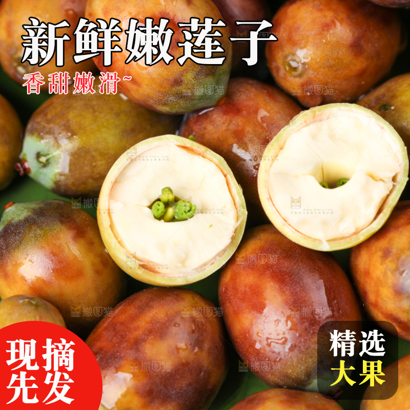 荷叶上摆放着莲蓬子