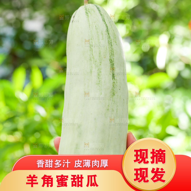 手里拿着羊角蜜