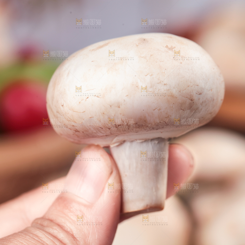 手里拿着口蘑