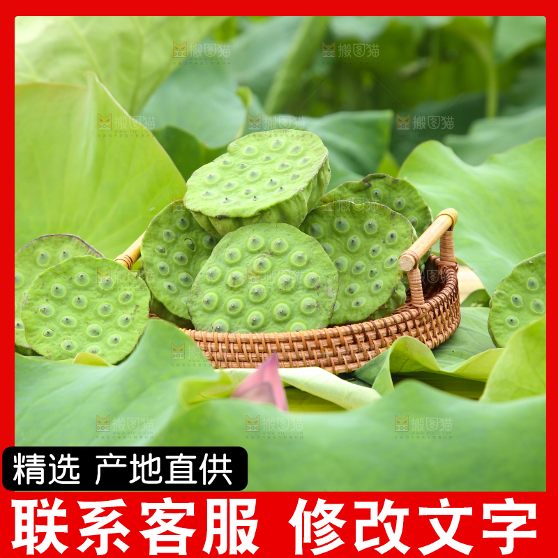 篮子里装着新鲜莲蓬