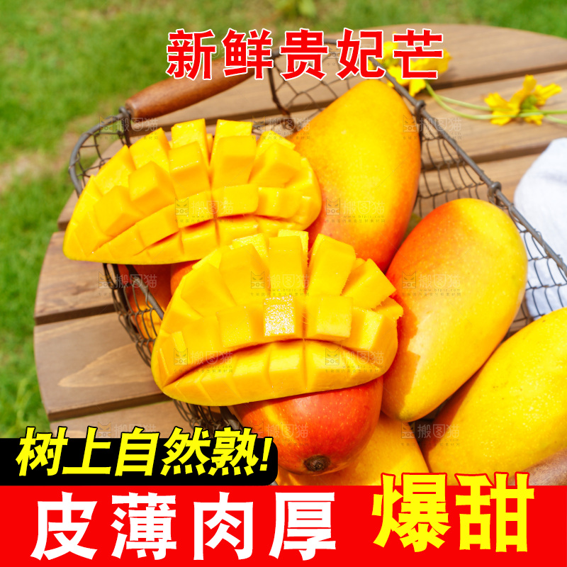 篮子里装着彩芒