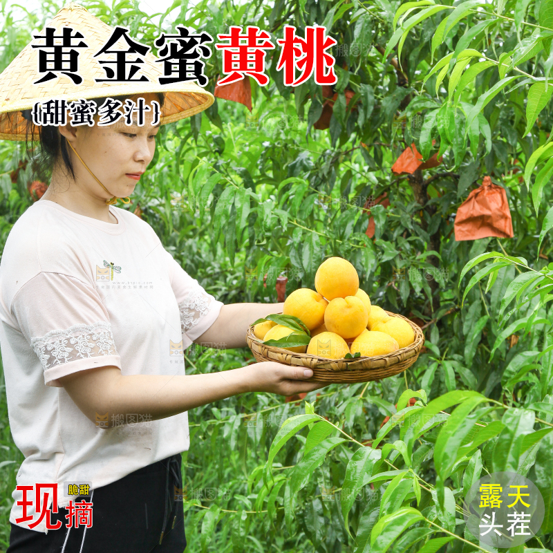 手里端着一篮黄皮黄桃