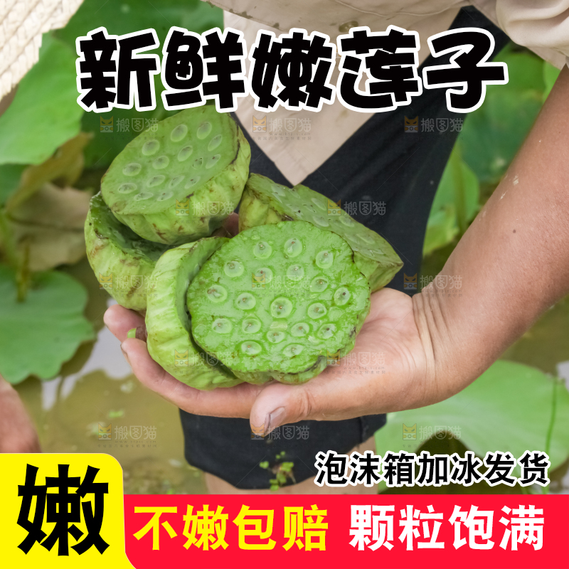 手里拿着新鲜莲蓬
