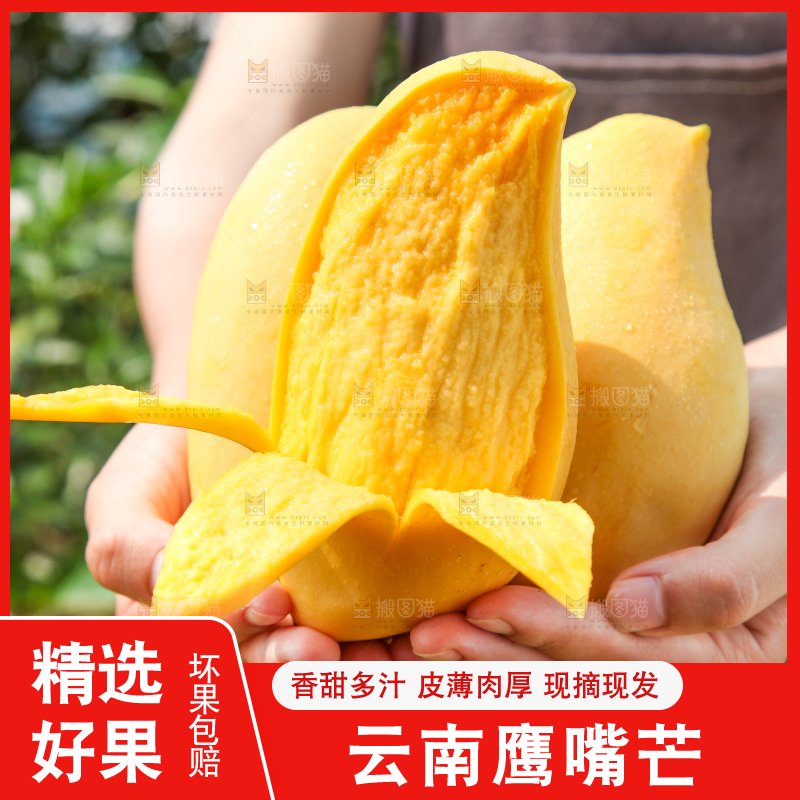 手里拿着象牙芒