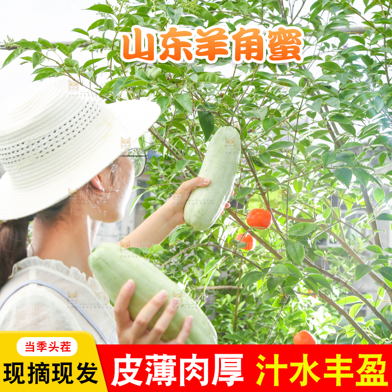 手里拿着羊角蜜