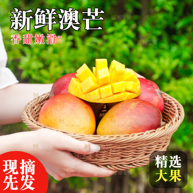 手里端着一篮澳芒